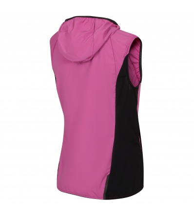 Direct Alpine Element Lady Vest 1.0