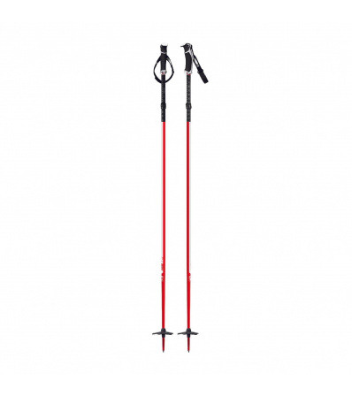 G3 Fixie Ski Poles