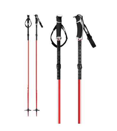 G3 Fixie Ski Poles