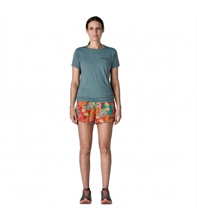 Patagonia Baggies 5