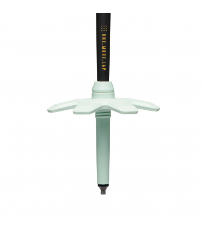 Ski Poles Black Diamond Traverse Pro