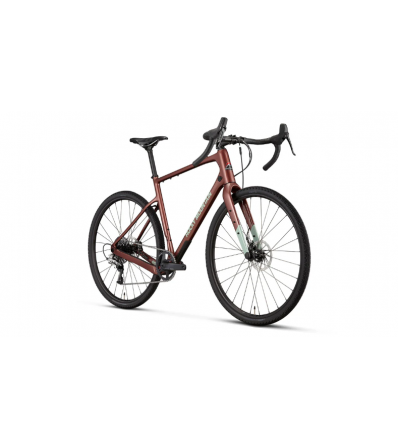 Trail Bike Rocky Mountain Solo Carbon 50