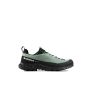 Mammut Alnasca IV Low GTX Men