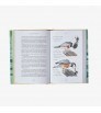 Patagonia Книга