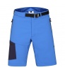 Direct Alpine Cruise Short 2.0 M's