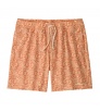 Patagonia Hydropeak Volley Shorts 16