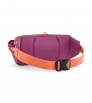 Patagonia Black Hole Waist Pack 5L