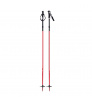 G3 Fixie Ski Poles