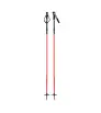G3 Fixie Ski Poles