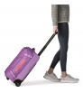 Patagonia Black Hole Wheeled Duffel 40L