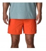Patagonia Baggies 5