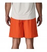 Patagonia Baggies Longs Shorts 7