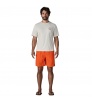 Patagonia Baggies Longs Shorts 7